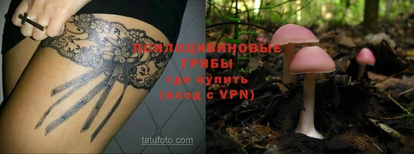 гидра Куйбышев