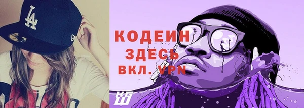 СК Кукмор