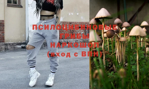 гидра Куйбышев