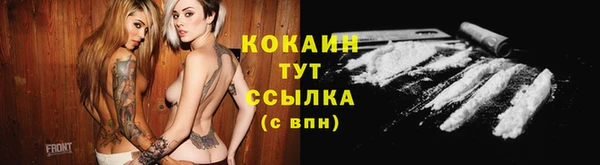 СК Кукмор