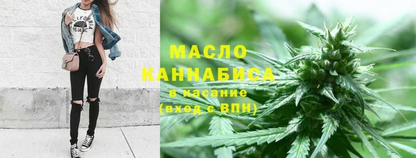 спайс Кулебаки