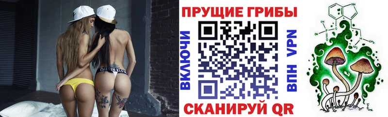 Галлюциногенные грибы Magic Shrooms  Купить  Биробиджан 